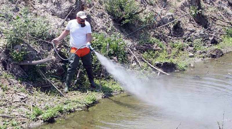 211112 psekasmos kounoupia