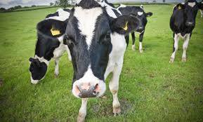 Δρασεις ΠΑΑ