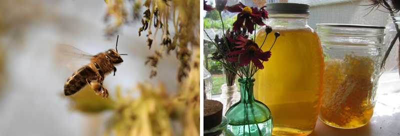 4ο Φεστιβάλ Ελληνικού Μελιού και Προϊόντων Μέλισσας