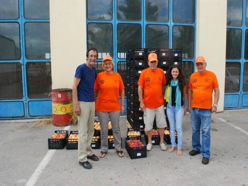 photo 1 rodakina paralabi f