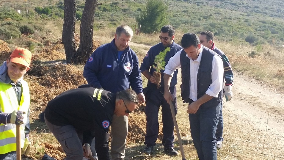 αναδασωση 1