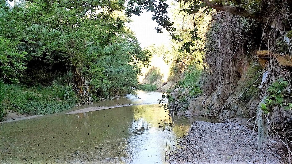 2017 06 06 Photo River Party Kifisos