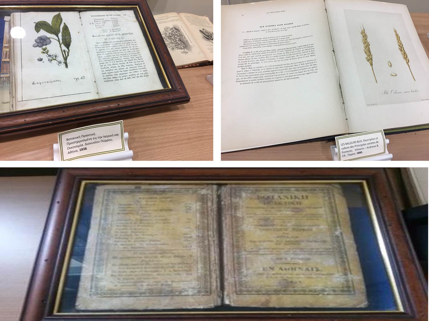 2017 10 19 Photo Archive ΙΓΕ