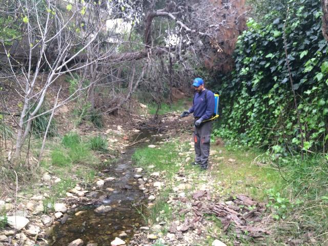 2019 04 05 ΦΩΤΟ ΠΕΒΤΑ 3ος κύκλος ψεκασμών