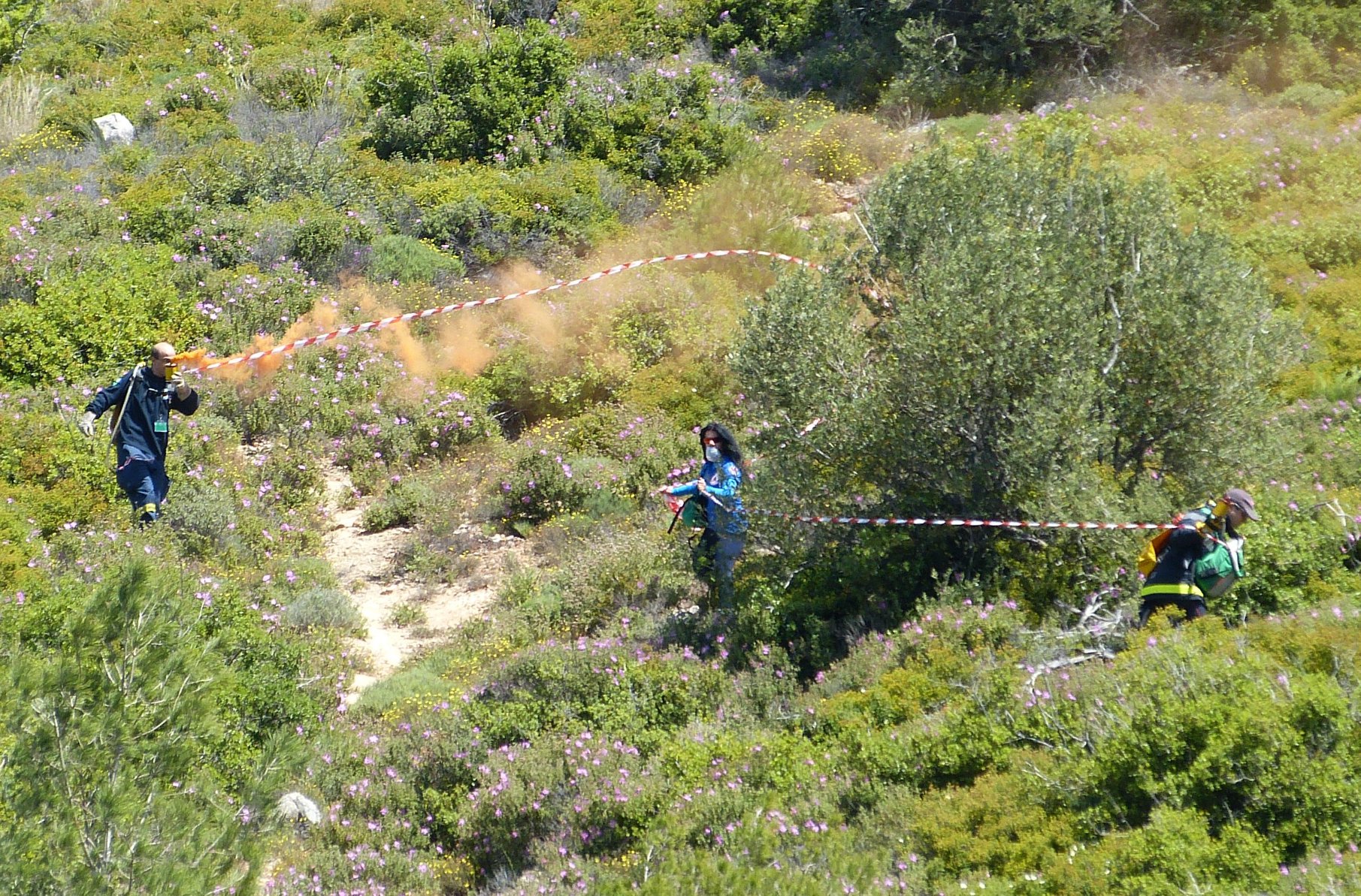 ΕΠΙ ΠΕΔΙΟΥ 5
