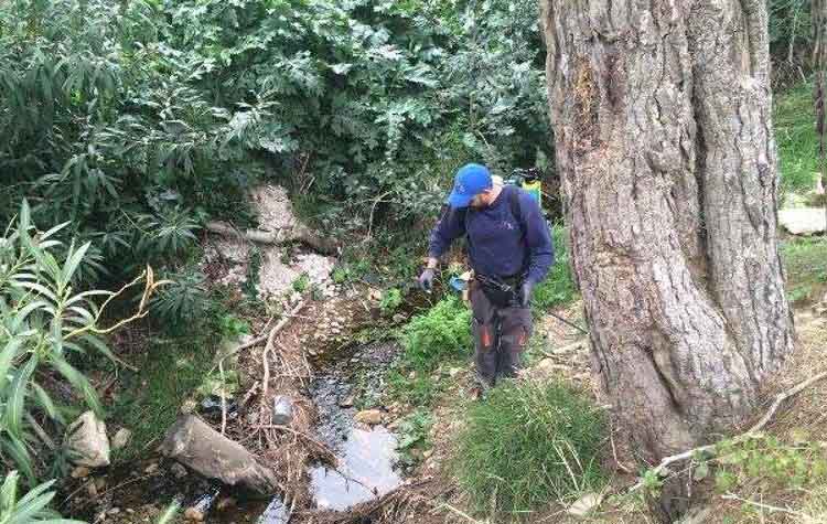 2019 06 03 ΦΩΤΟ ΠΕΒΤΑ 7ος κύκλος ψεκασμών