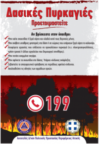 Δασικές Πυρκαγιές Υπαιθρος 1