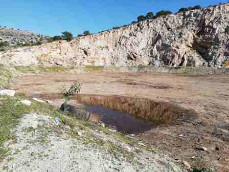 20200114IMG-salamina 1