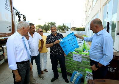 20200805 spata art 5