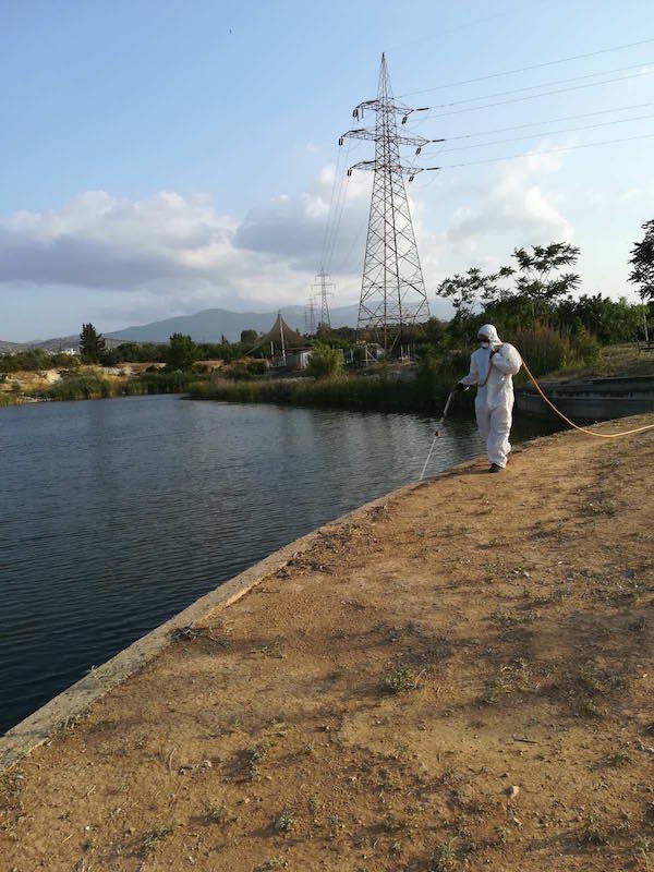 210723 dt kounoupia DT