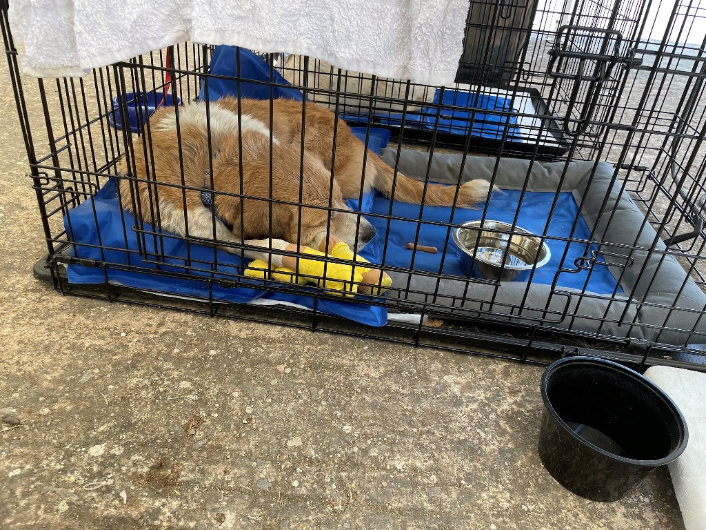 φωτογραφία