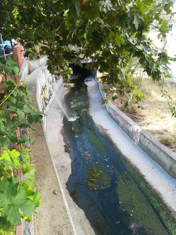 210903 kounoupia DT antiper