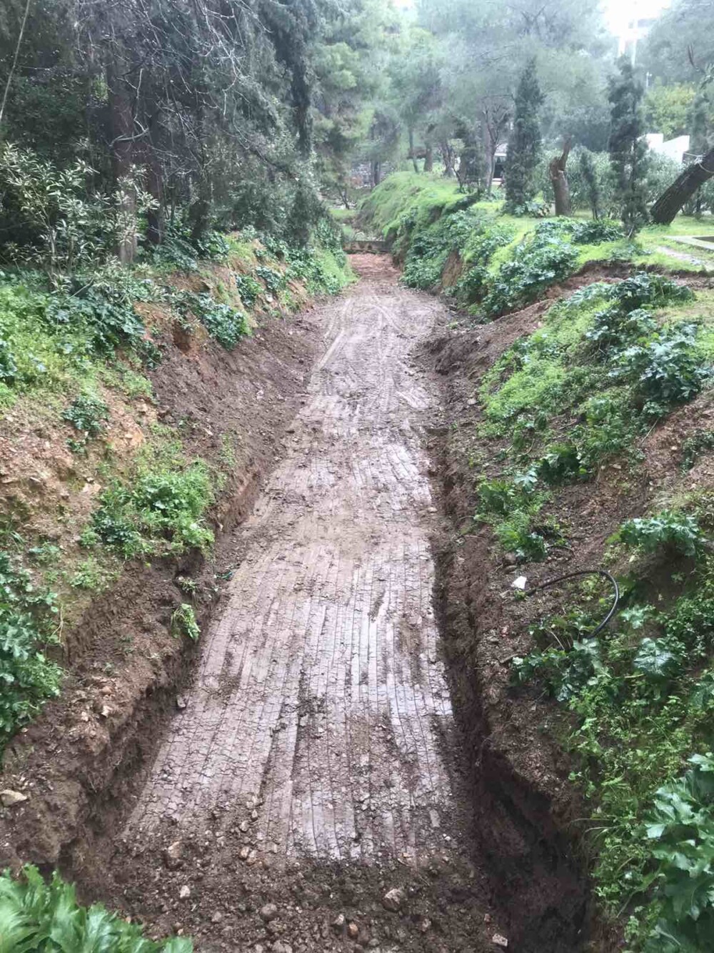 photo-remata-1-1000x1333