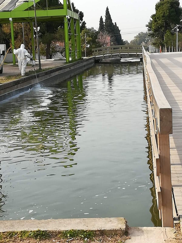 220318_kounoupia_dt_DT_photo