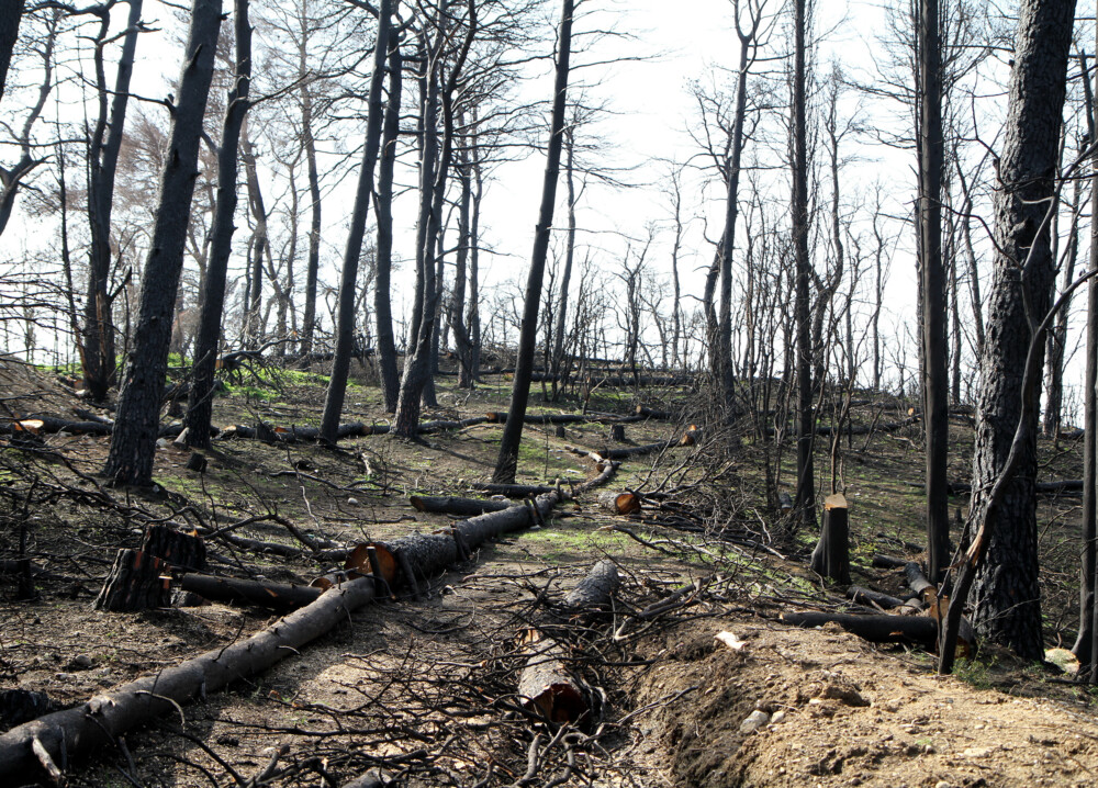 IMG_20220317_111124-1000x718