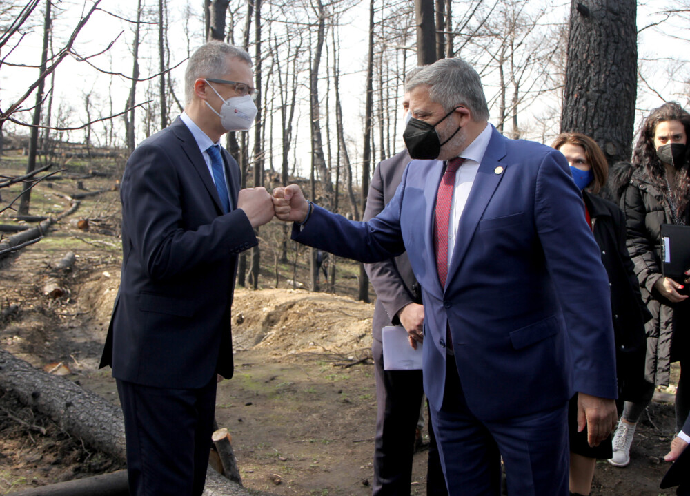 IMG_20220317_111303-1000x718