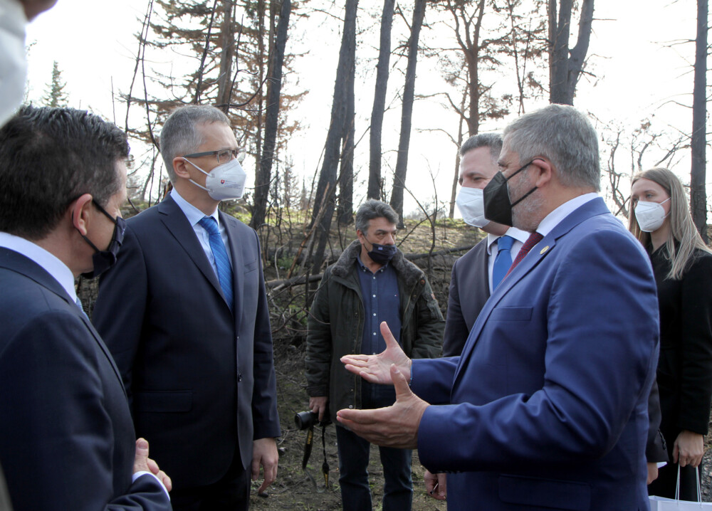 IMG_20220317_113944-1000x718