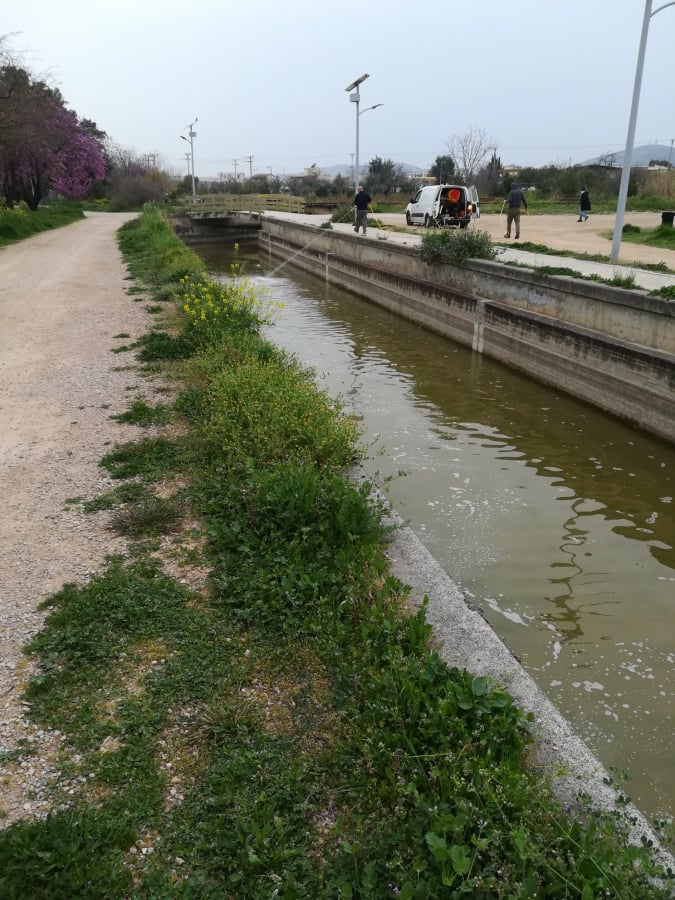 220408_kounoupia_dt_DT