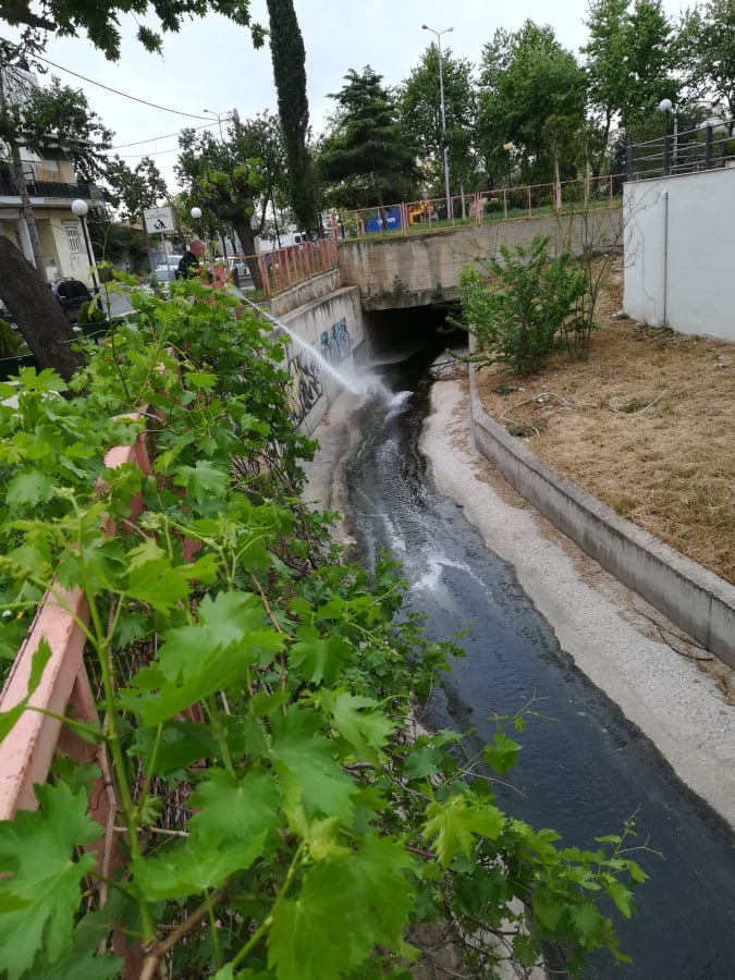 220429_dt_kounoupia_DT_PHOTO