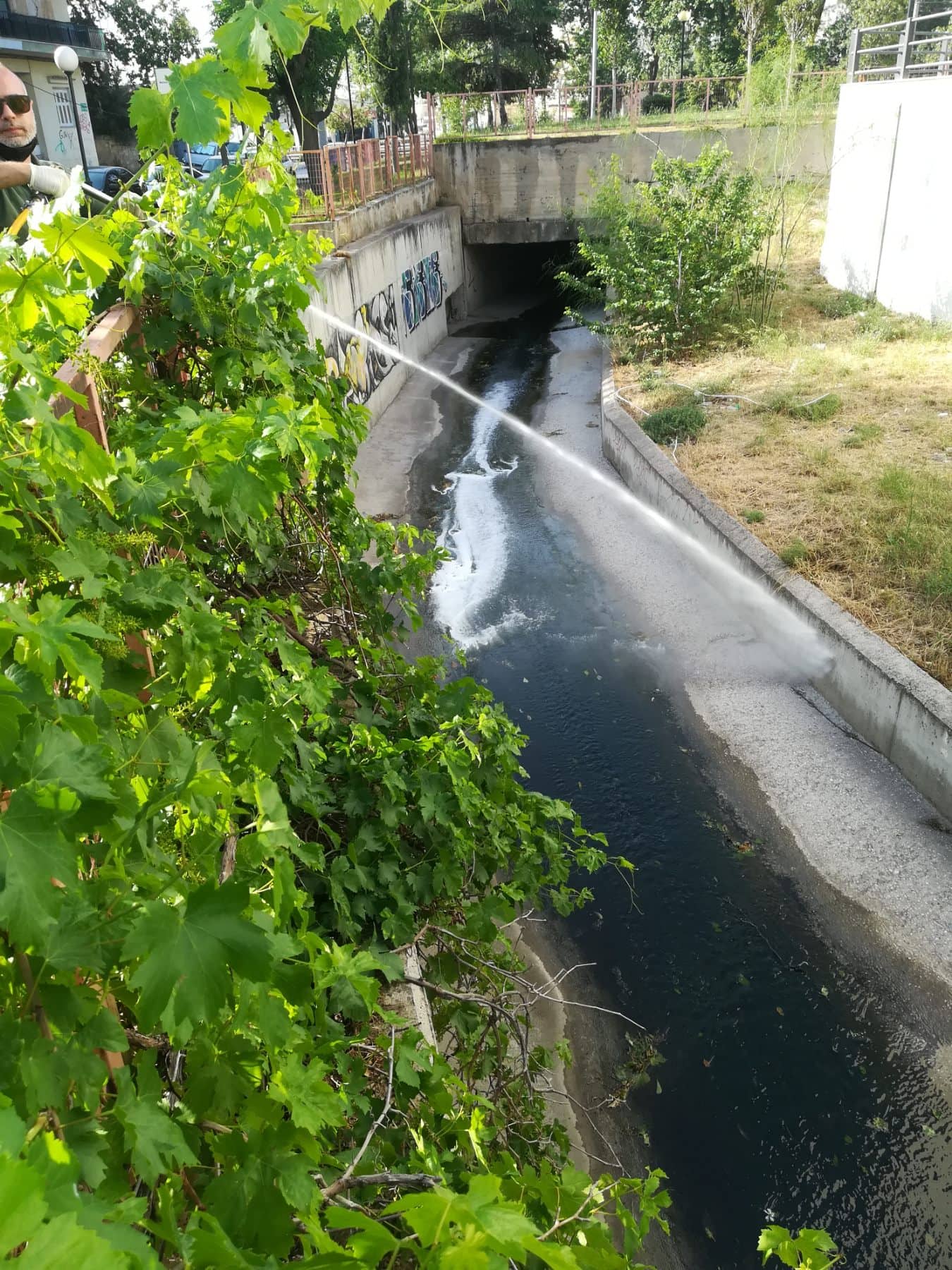 220527_dt_kounoupia_DT_photo