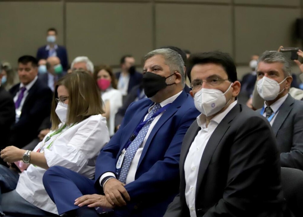 image_6483444-1000x718