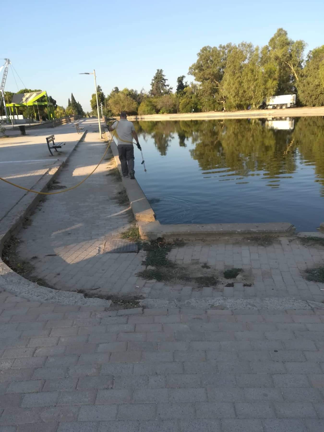 220722_dt_DT_kounoupia