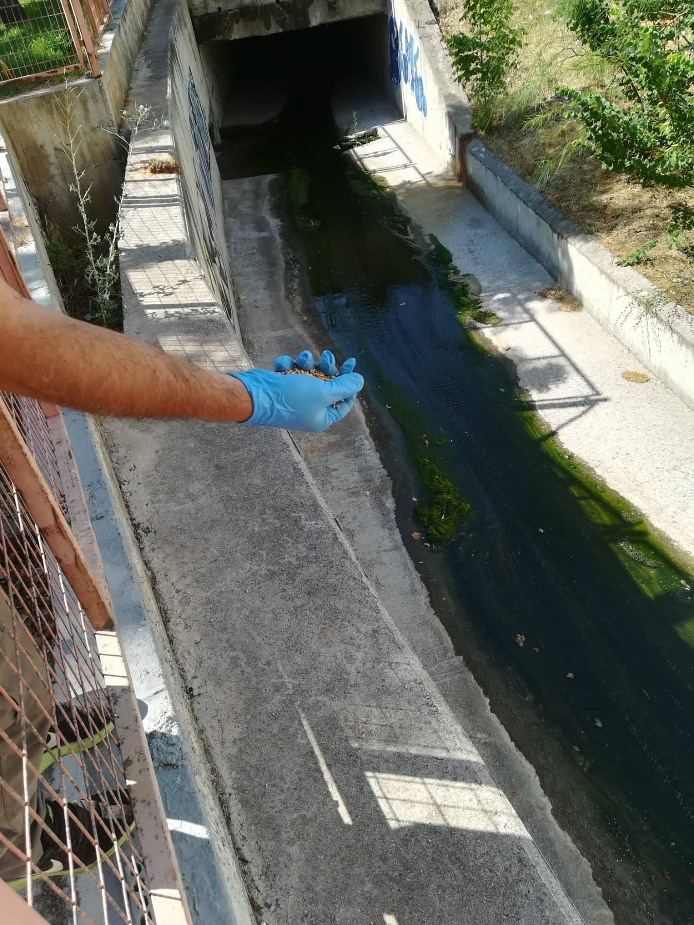 291611372_5012845585505631_6662527892542528264_n