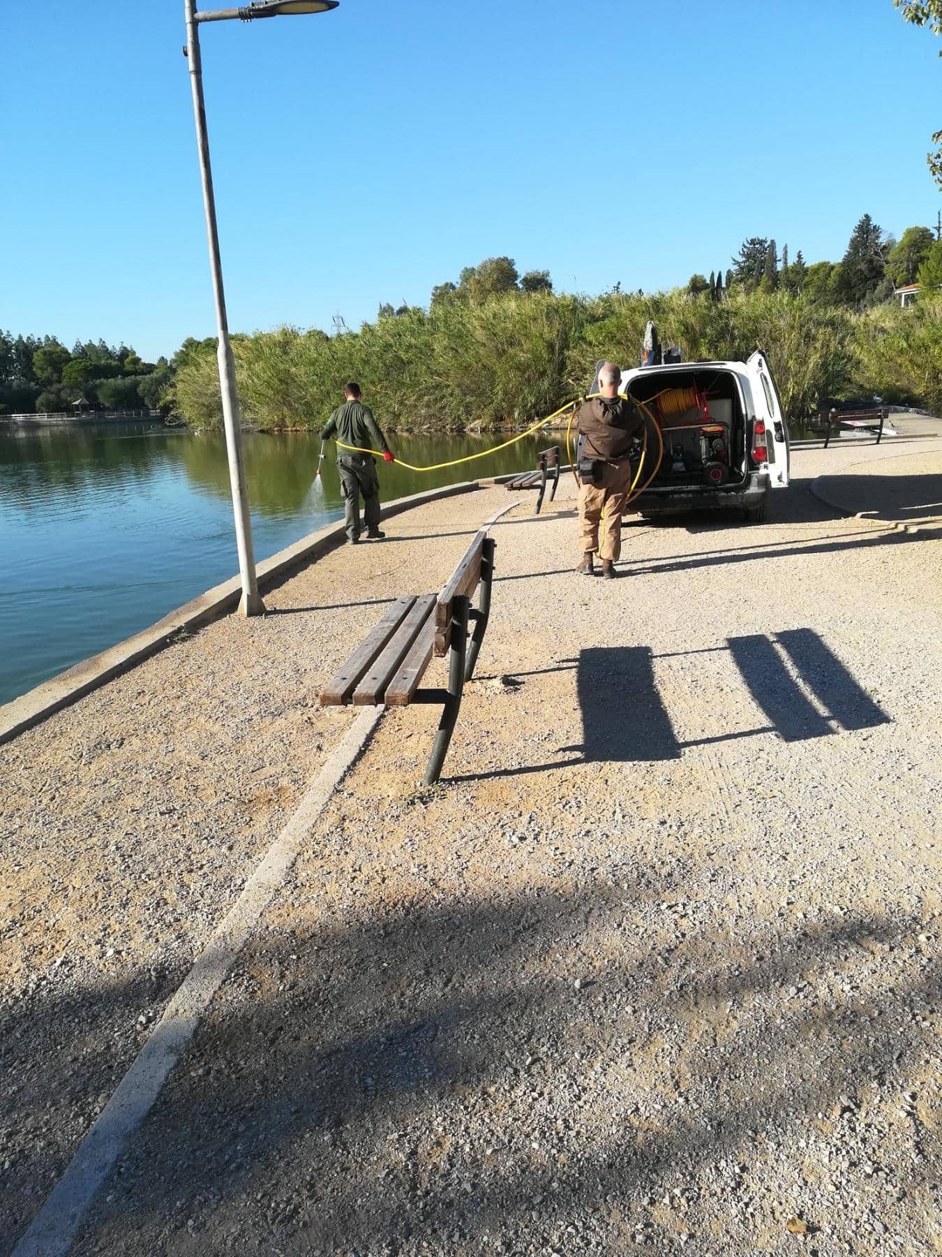 221021_dt_kounoupia_DT_photo