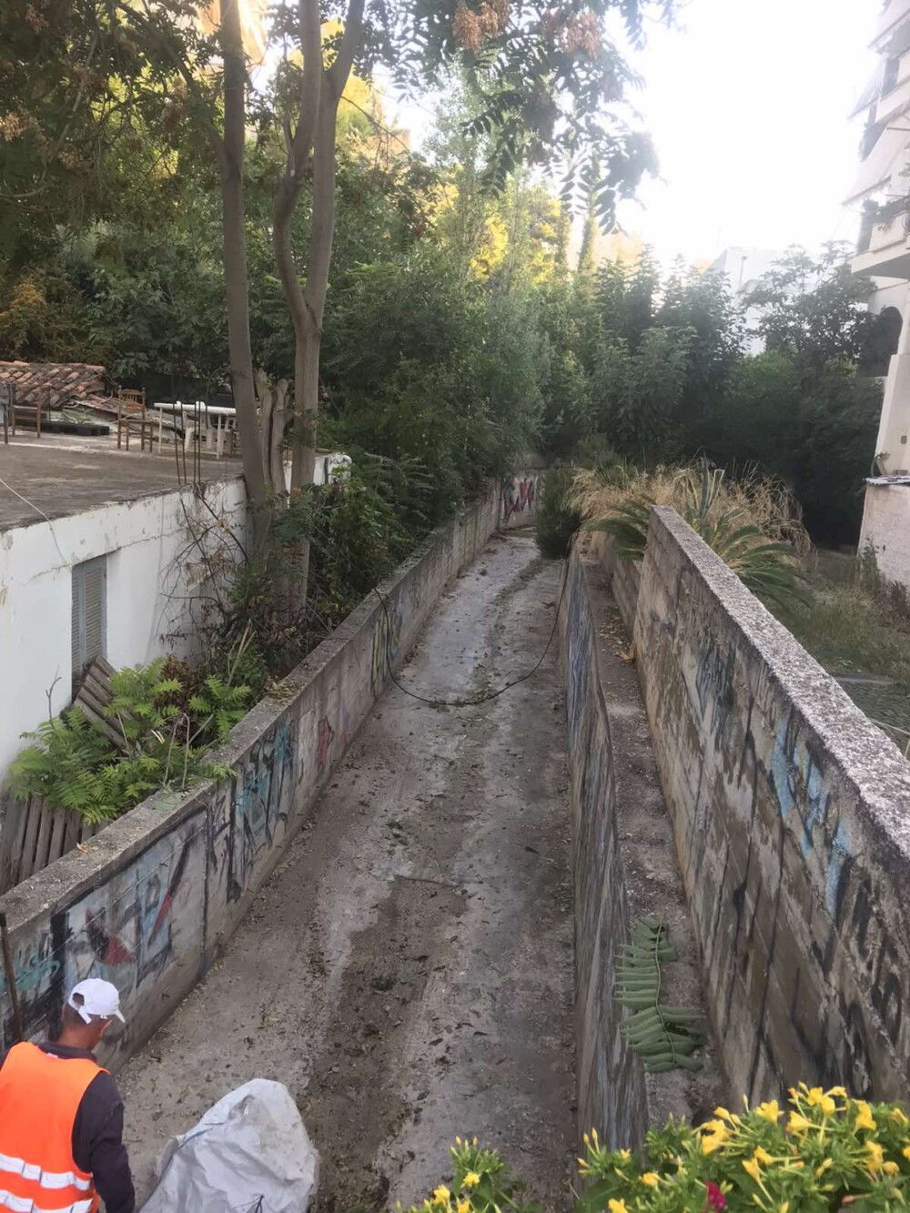 -Παρασκευή-1-1000x1333