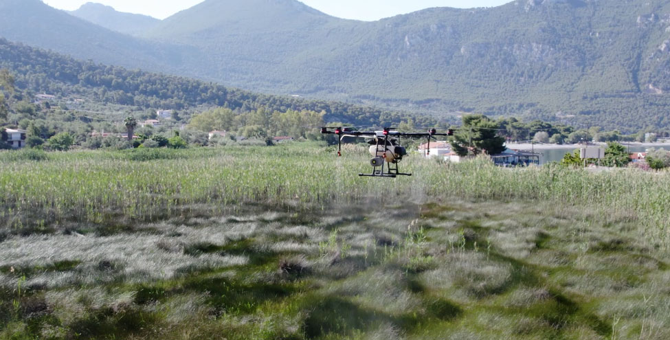 230614_dt_kounoupia_DA