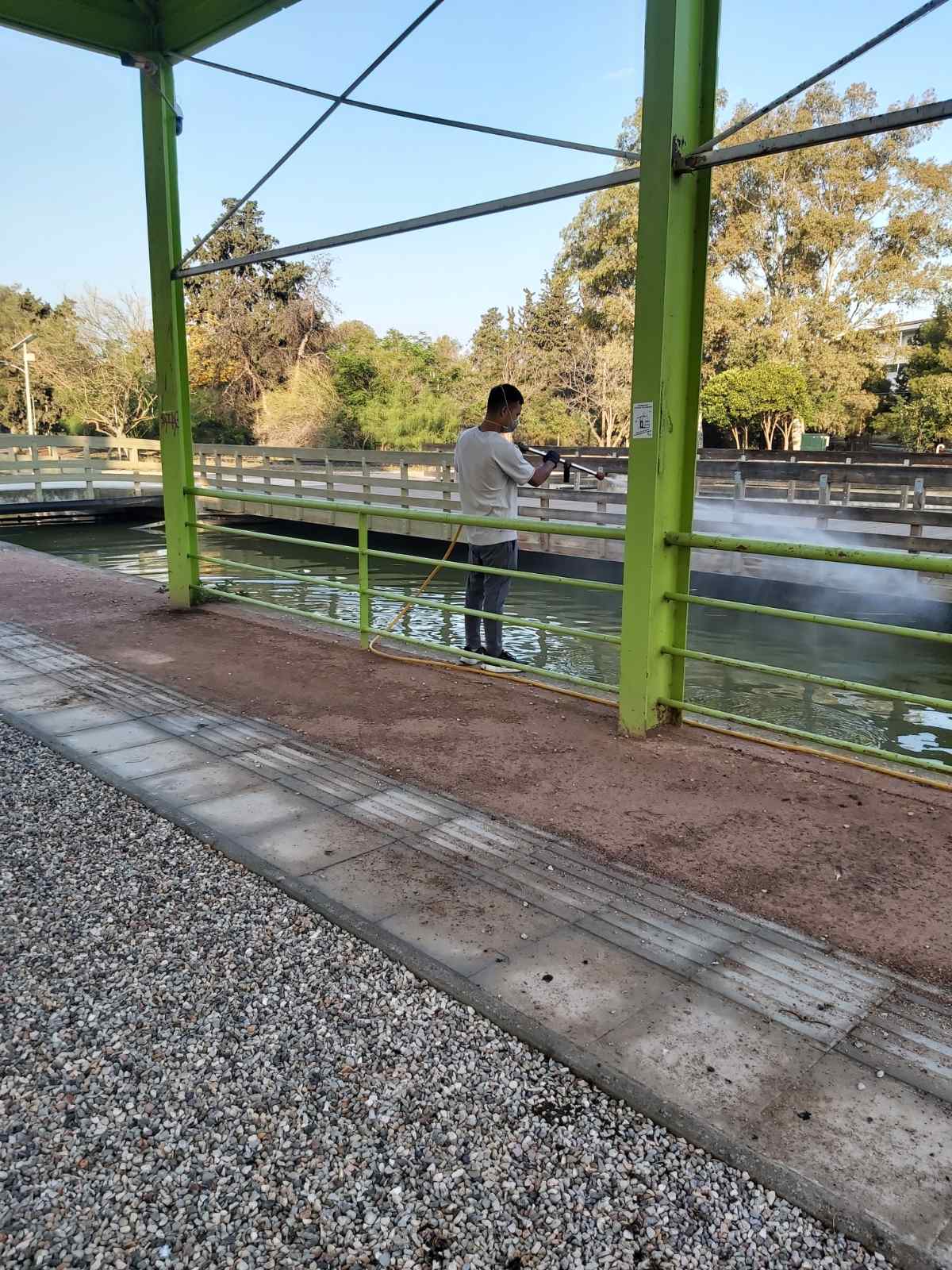 230623_kounoupia_dt_DT