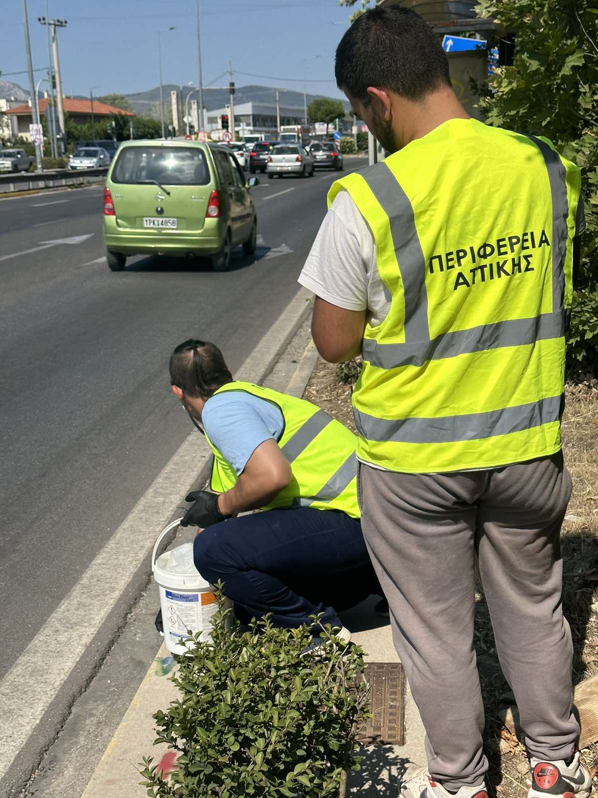 230721_dt_AA_freatia