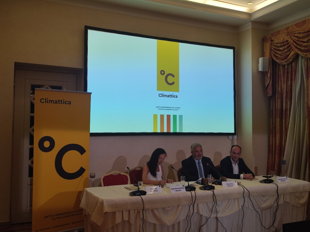 IMG_20230711_130433-1000x750