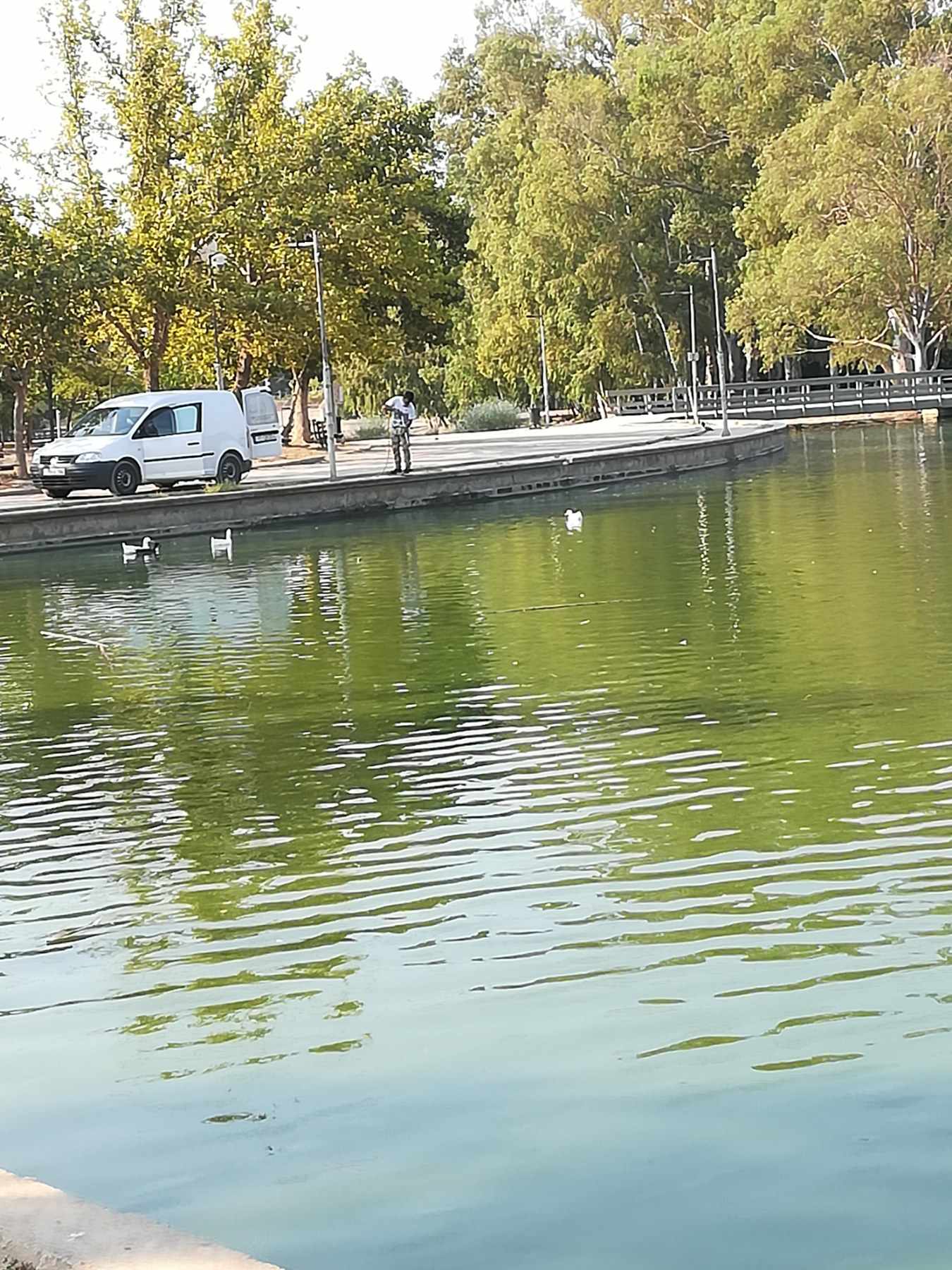 230825_dt_kounoupia_DT_photo