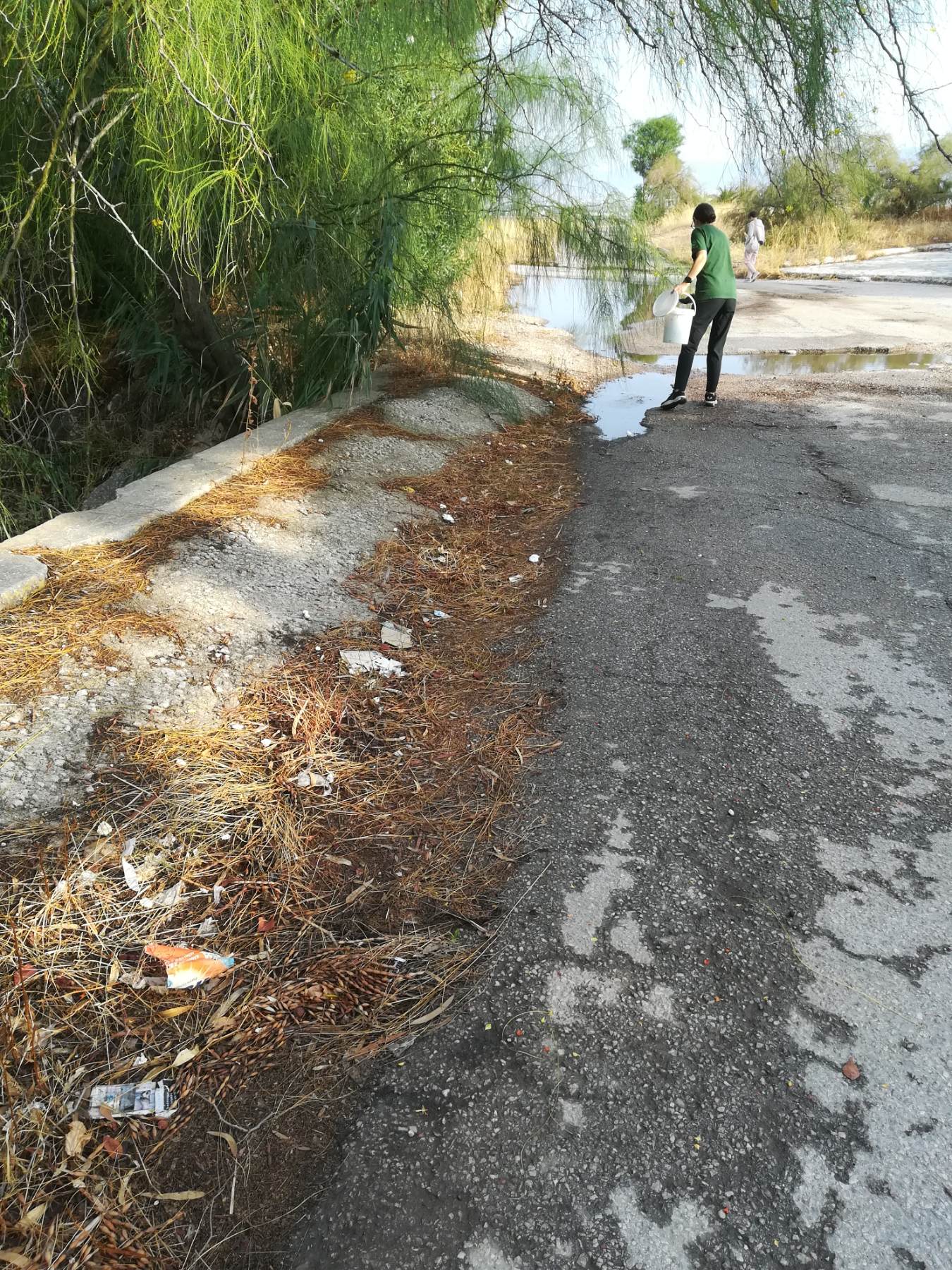 230908_dt_DT_kounoupia_photo