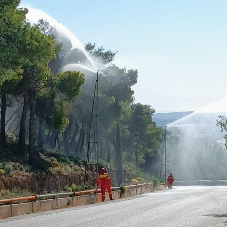 240409_dt_DT_aineias_photo1