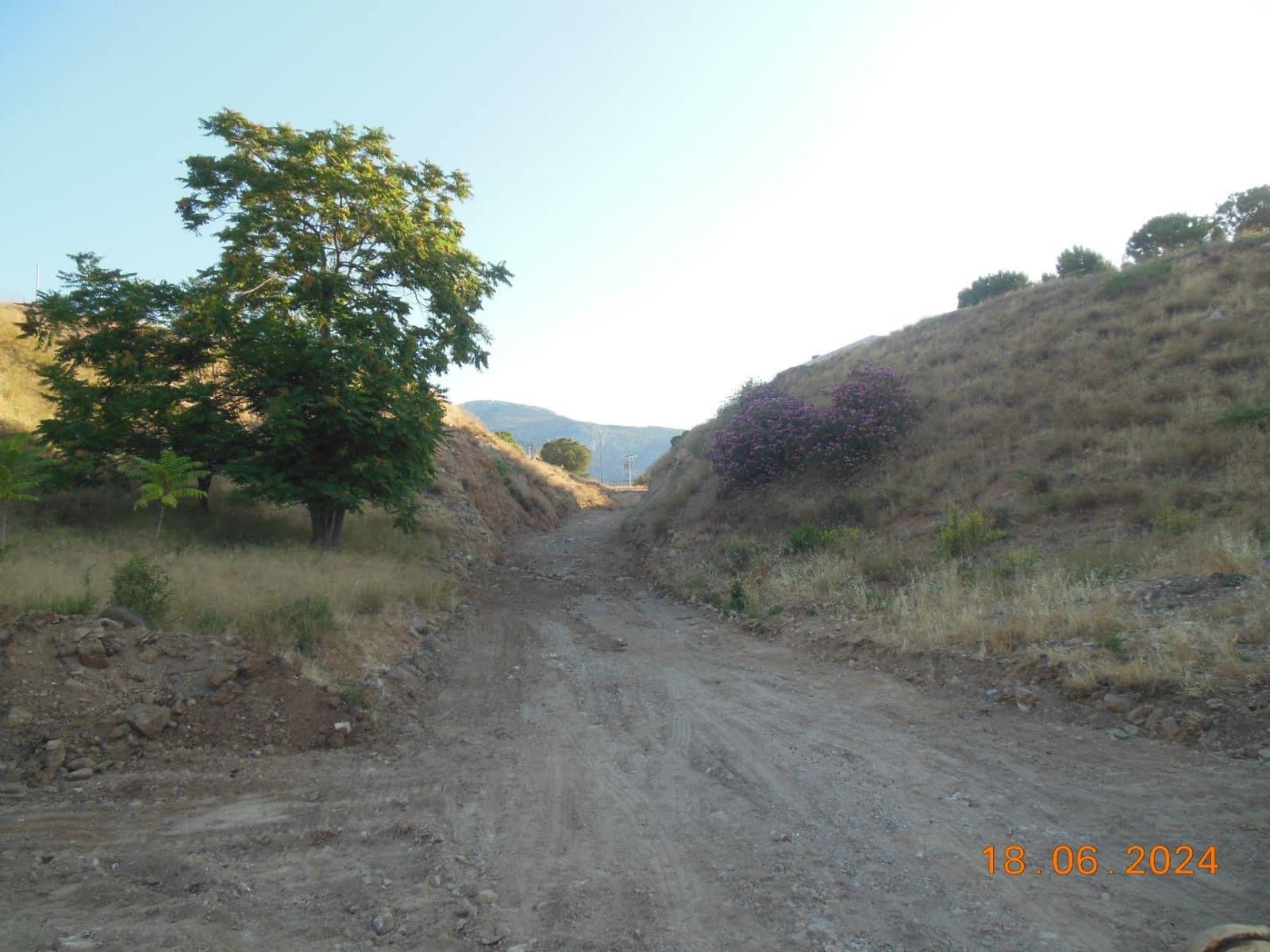 240701_dt_DA_remata_IMG_4226