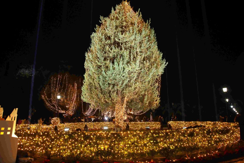 2024-12-09-at-00.09.58-1000x667