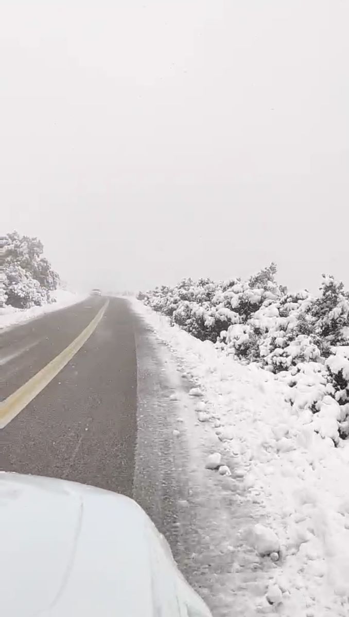 241230_dt_DA_xionia_IMG_3691