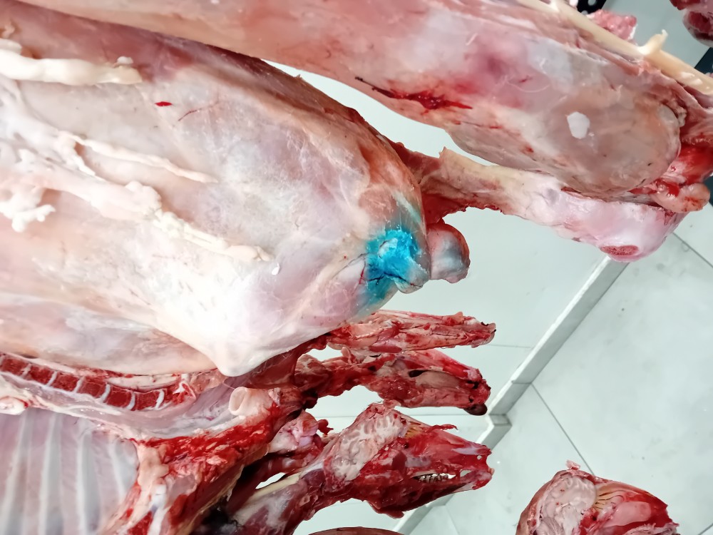 20250412_100356-1-1000x750