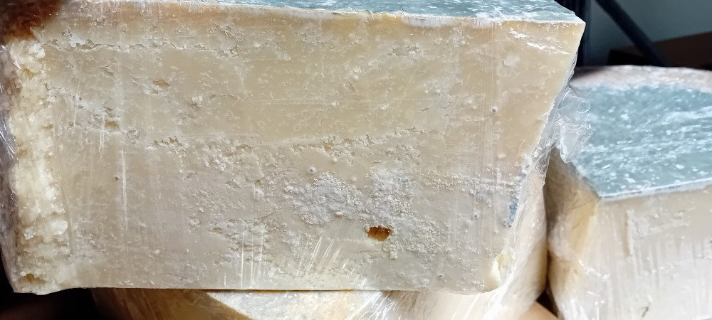 20251216_123447-1-1000x450