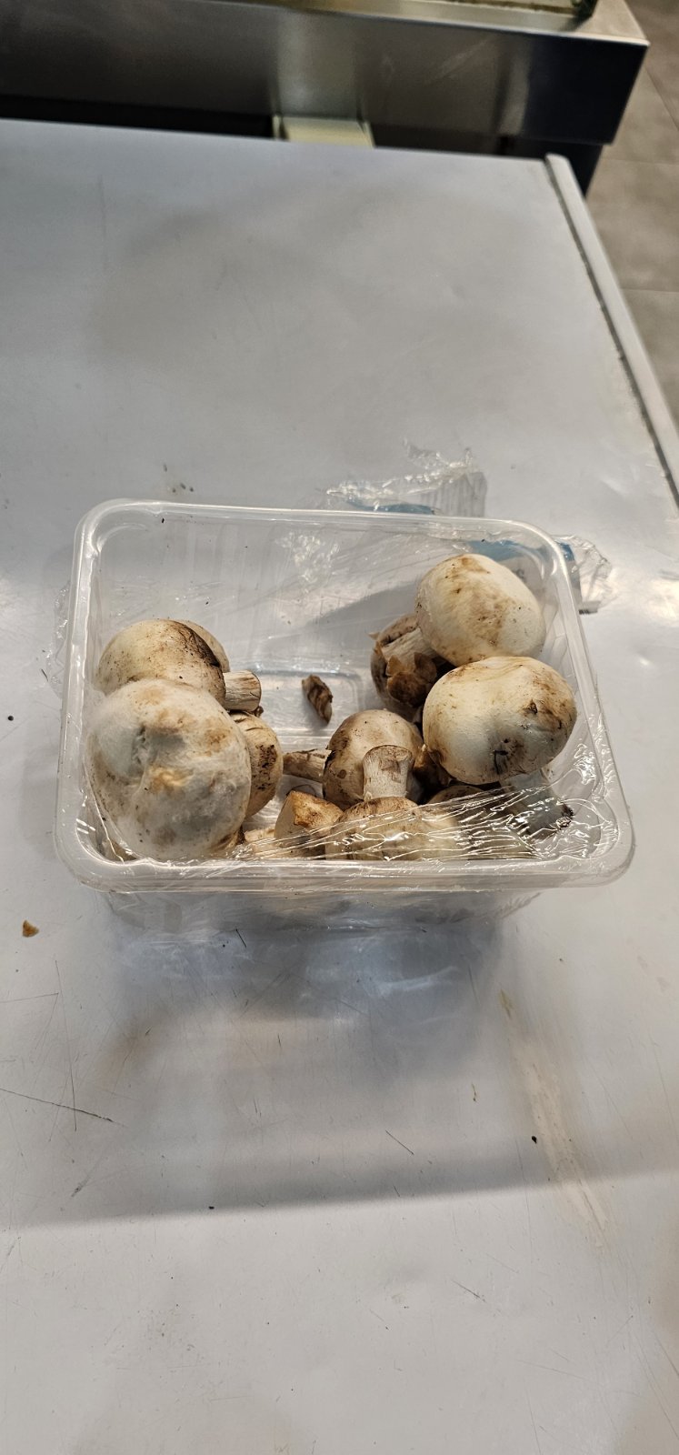 image_2025-12-09_20-47-16-087-1